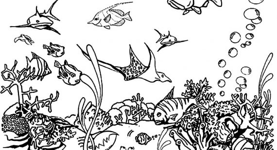 Sea Life Coloring Pages good Sea Life Coloring Pages In Sea Life Coloring Pages Pict best coloring pages ocean top child coloring design ideas.jpg